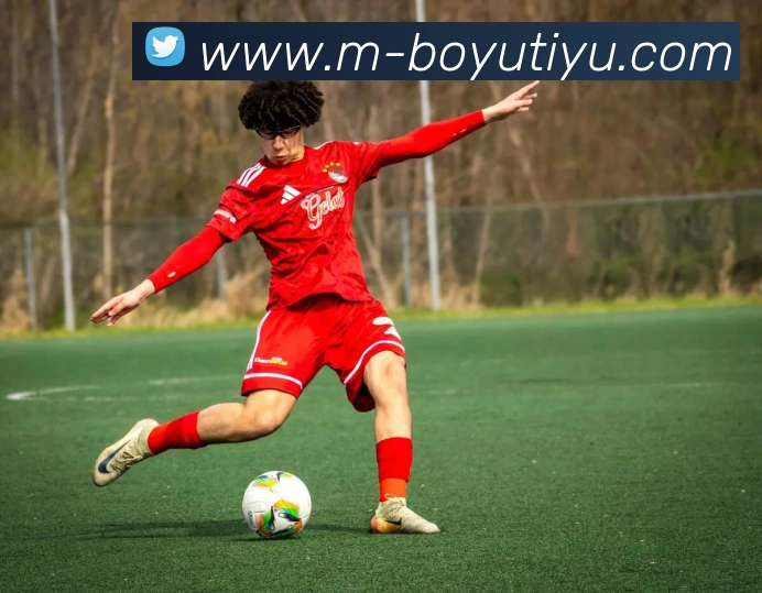 博鱼体育APP 封面图